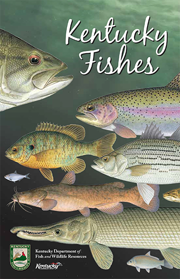 Fish ID Booklet